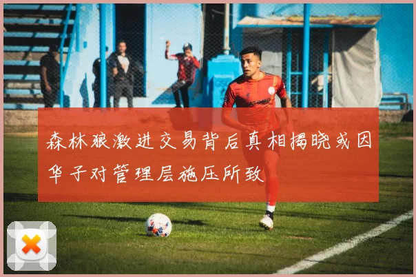 森林狼激进交易背后真相揭晓或因华子对管理层施压所致