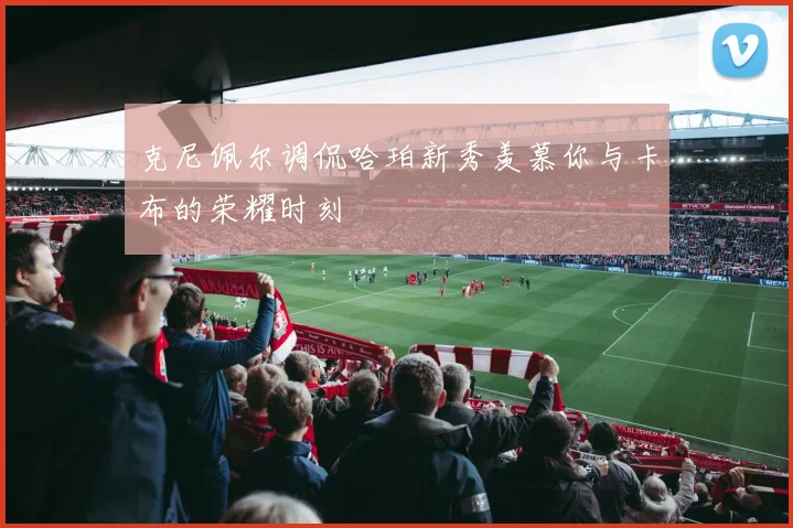 克尼佩尔调侃哈珀新秀羡慕你与卡布的荣耀时刻