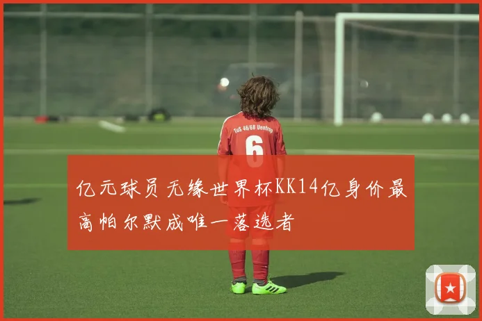 亿元球员无缘世界杯KK14亿身价最高帕尔默成唯一落选者